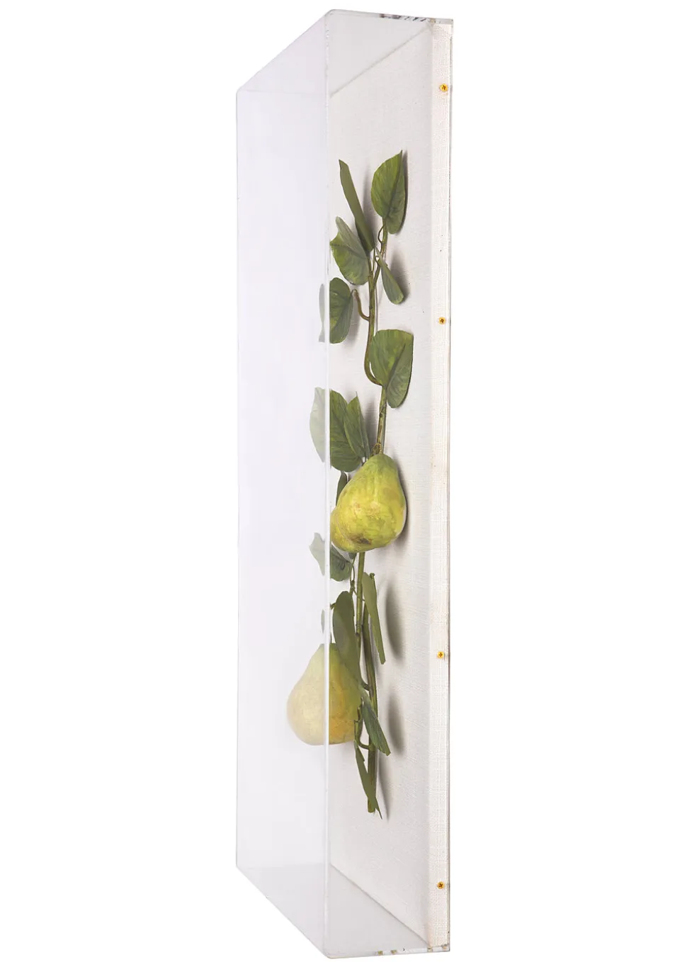 Large Fruit Study Pears On Snow Linen