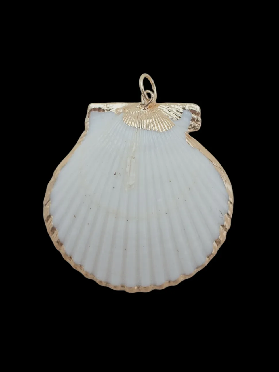 Large Scallop Shell Charm in White
