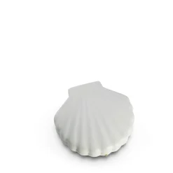 Large Shell Jewelry Storage Box in White/Blue