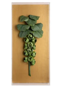 Large Vegetable Study Brussels Sprouts On Gilded Linen
