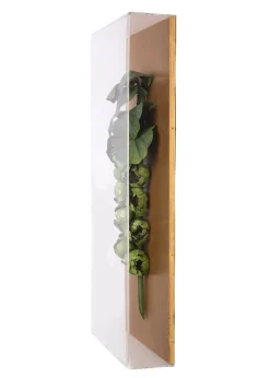Large Vegetable Study Brussels Sprouts On Gilded Linen