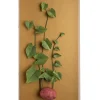 Large Vegetable Study Potato On Gilded Linen