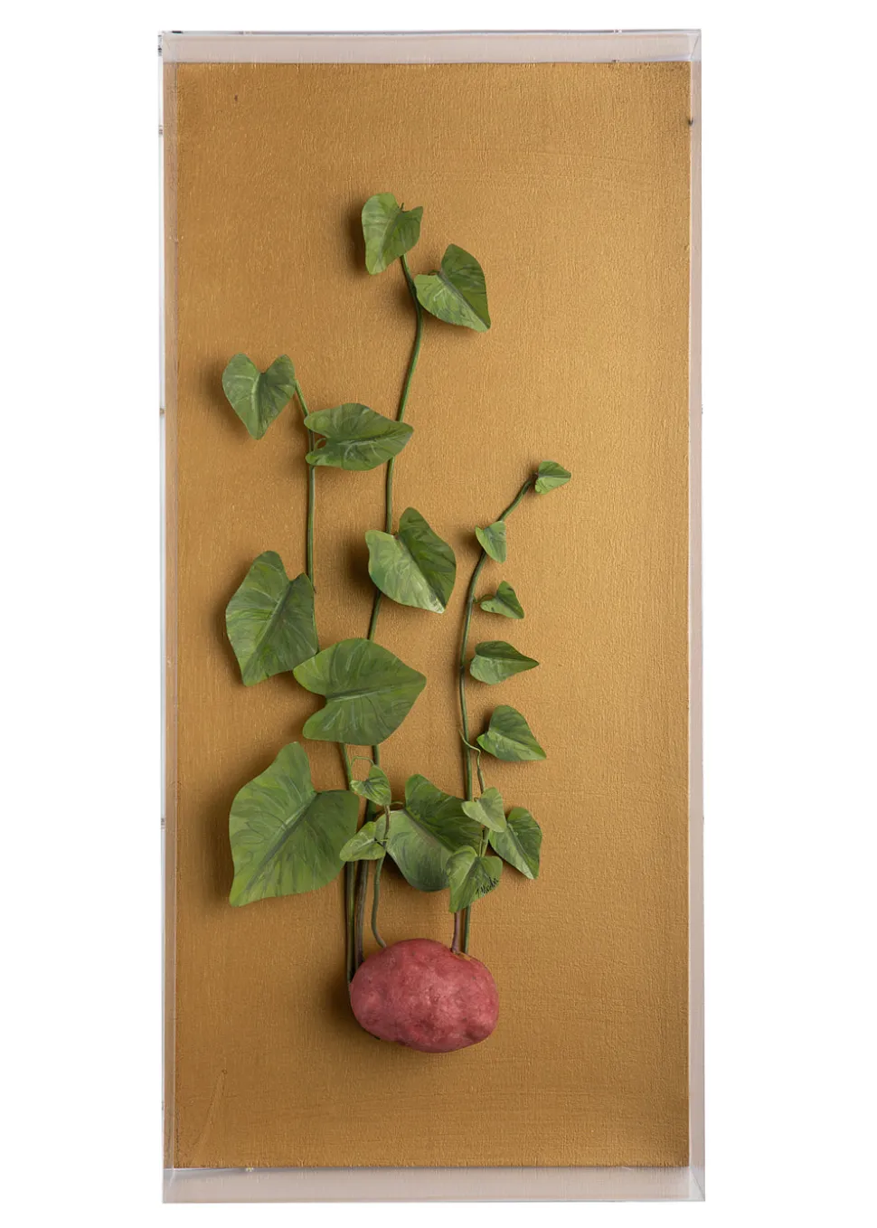 Large Vegetable Study Potato On Gilded Linen