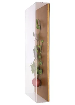 Large Vegetable Study Potato On Gilded Linen
