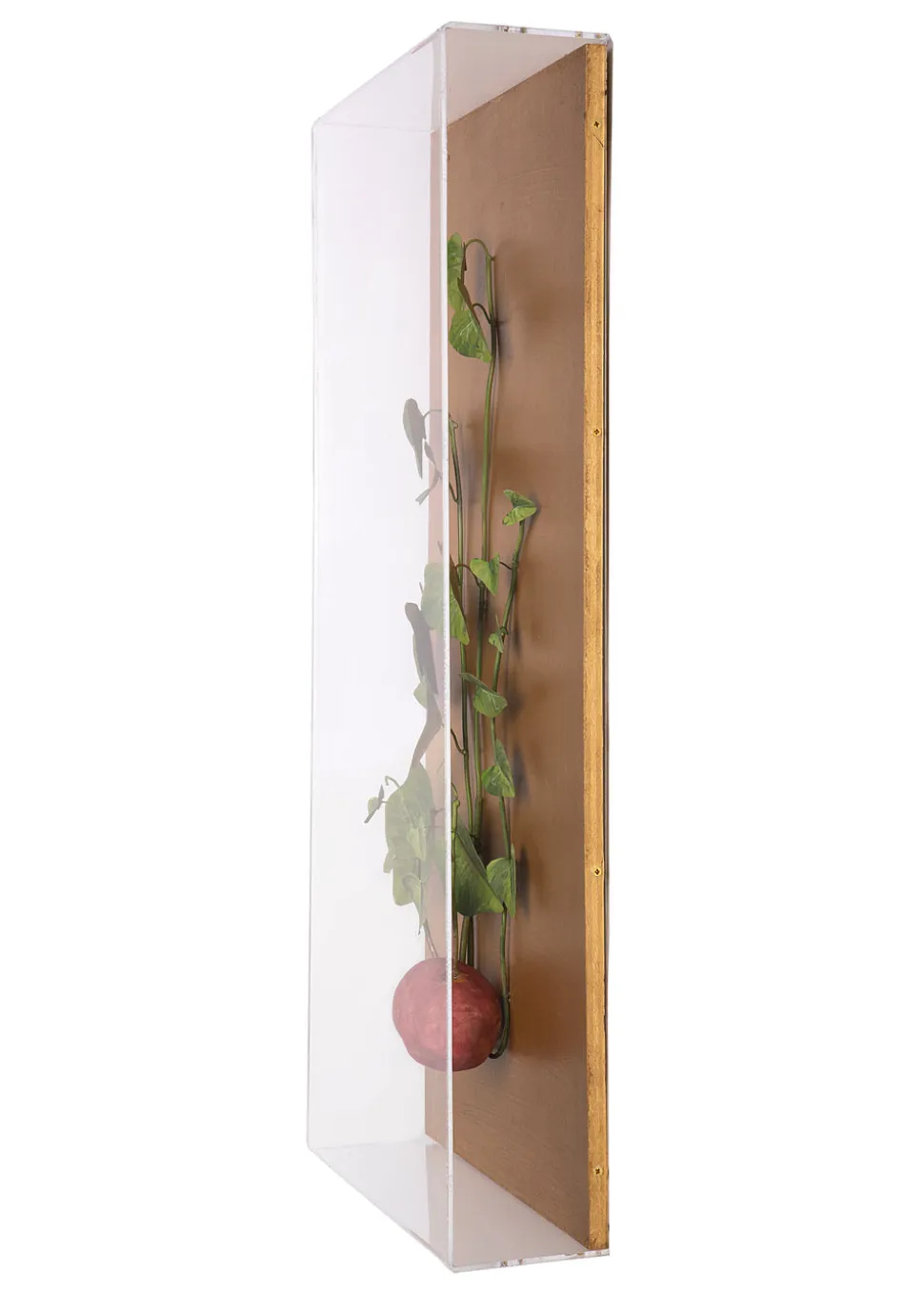 Large Vegetable Study Potato On Gilded Linen