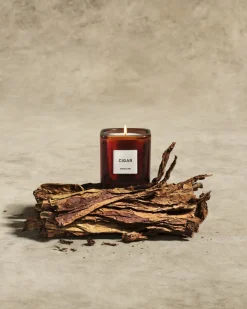 Library Candle in Cigar