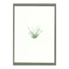 Lily of the Valley Cards, Set of 5