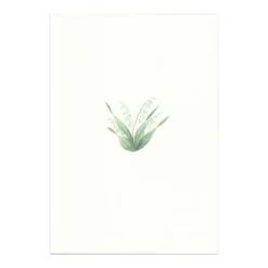 Lily of the Valley Cards, Set of 5