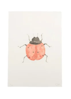Limited Edition Ladybird Print