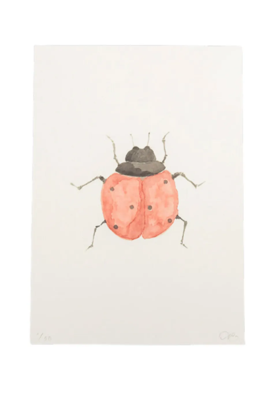 Limited Edition Ladybird Print