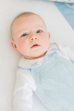 Long-Sleeve Pinpoint Onesie in Blue Rocking Horse