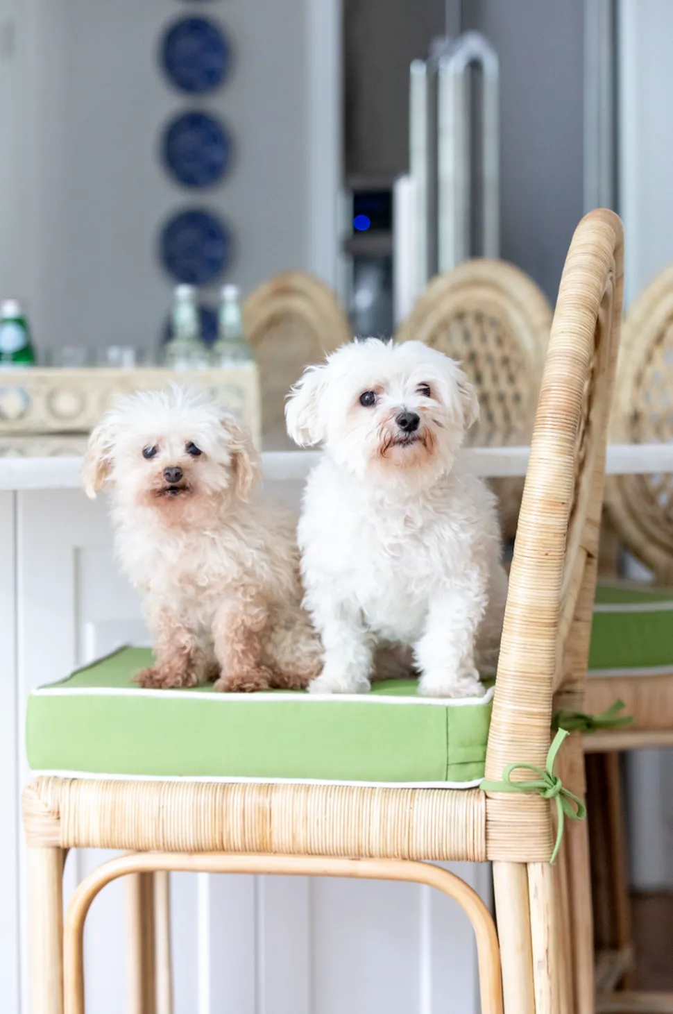 Louis XVI Trellis Counter Stool