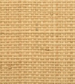 Madagascar Coarse Wallpaper