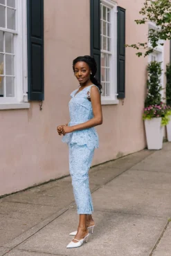 Maesa Organza Floral Dress in Baby Blue