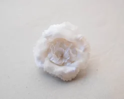 Magnolia Flower