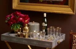 Martina Cocktail Picks Only, Set of 6