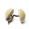 Medium Husk Mushrooms