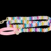 Merry Dog Leash