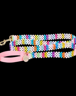 Merry Dog Leash