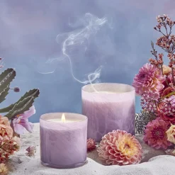 Midnight Cactus Classic Candle