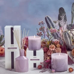 Midnight Cactus Classic Candle