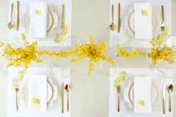 Mimosa Napkin and Placemat, Set of 2