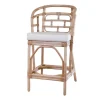 Ming Style Counterstool