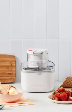 Mini Ice Cream Maker