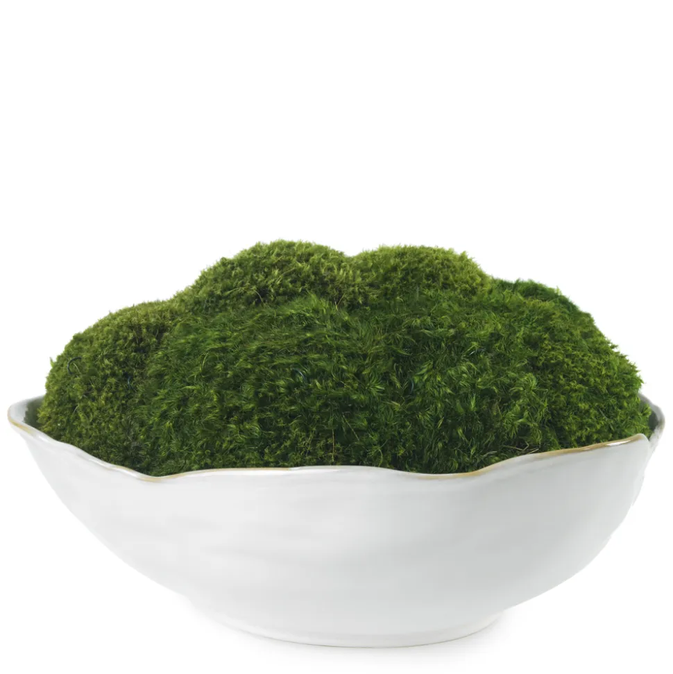 Mossy Mood