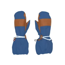 Mountain Blue Waterproof Ski Mitten