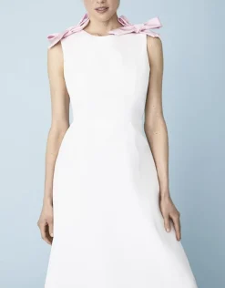 Mrs. Amy Dress