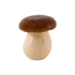 Mushroom Small Mushroom Box