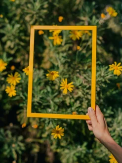 Naples Yellow Wood Picture Frame