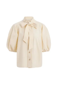 Navi Top in Turtledove