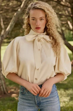 Navi Top in Turtledove