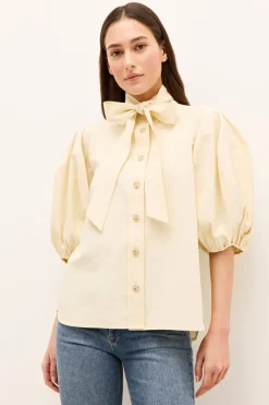 Navi Top in Turtledove