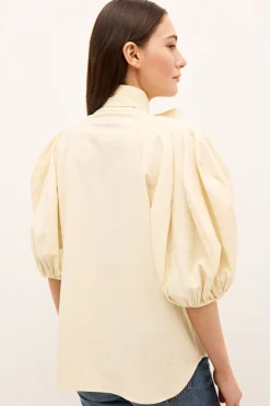 Navi Top in Turtledove