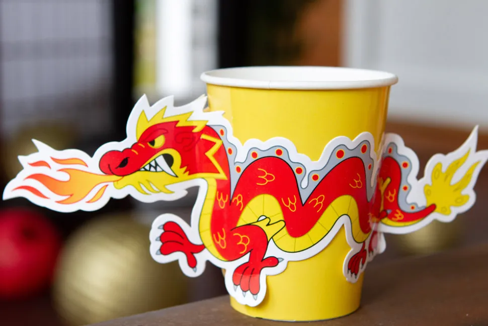 Ninja Cups with Dragon Sleeves