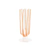 Nuovo Stripe Champagne Glass in Orange