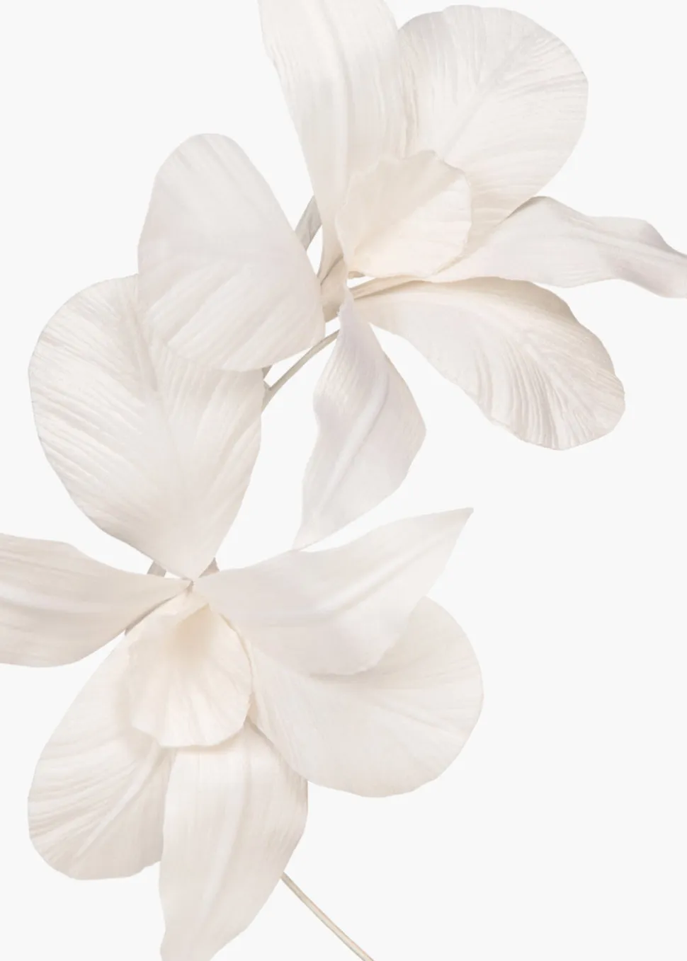 Orchid Vine Headband in Cream