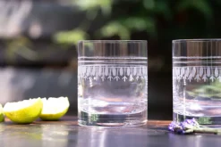 Pair of Crystal Whiskey Glasses with Ovals Design