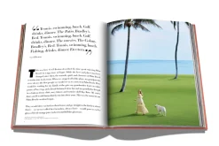 Palm Beach