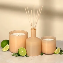 Paloma Melon Signature Candle