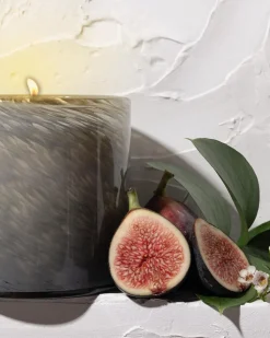 Paradiso Fig Classic Candle