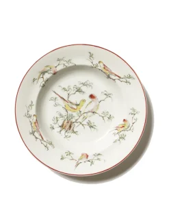 Parrot Soup Bowl