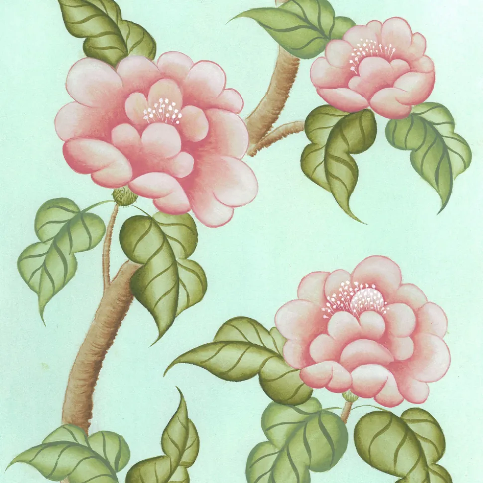 Peonies En Fleur