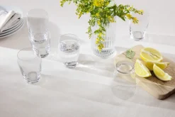 Perfection Tumbler Clear, Set of 6