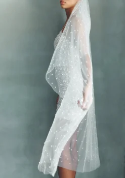 Perri Veil