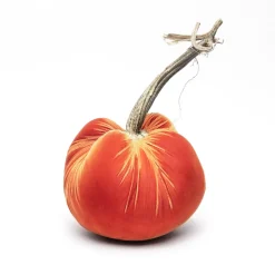 Persimmon Silk Velvet Pumpkin