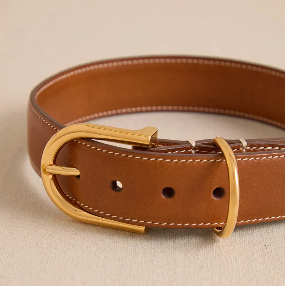 Pet Collar 30 in Vacchetta Luggage